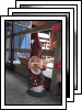 [gnomes]